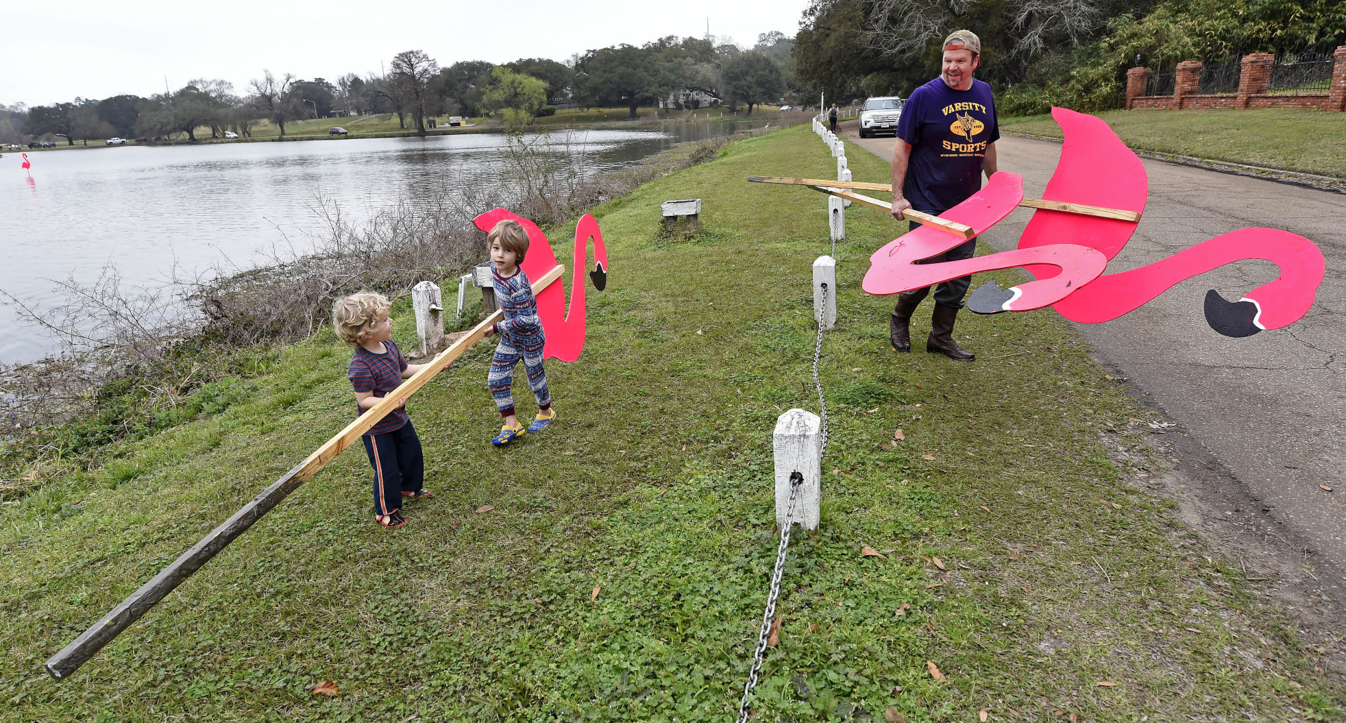 BR.wildlakeflock0576.adv bf.jpg